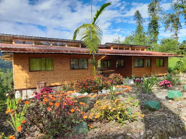 Sendero de las Aves Mindo