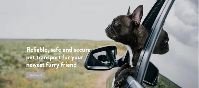 Animal Kingdom Pet Transport