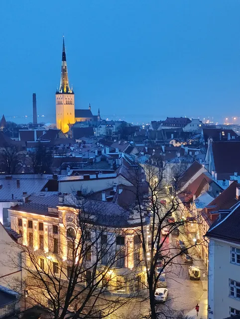 Bishop's Garden Viewing Platform