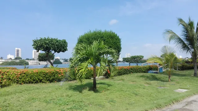 Henrique Román Park