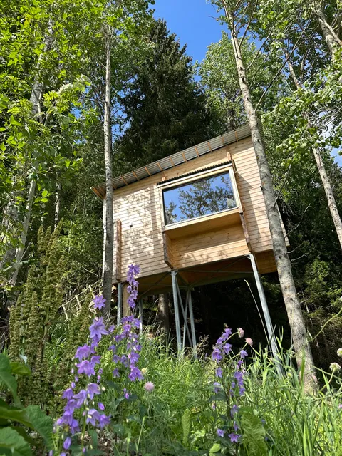 LAUV Tretopphytter og opplevelser