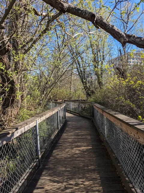 Gene Coulon Bird Island