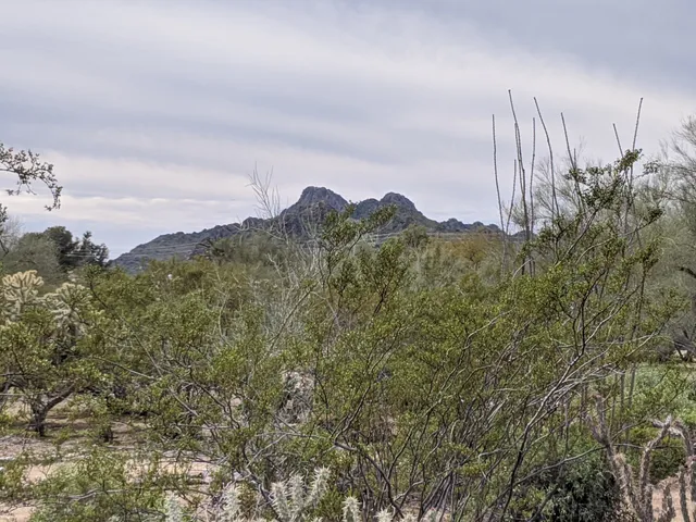 Canaan In the Desert