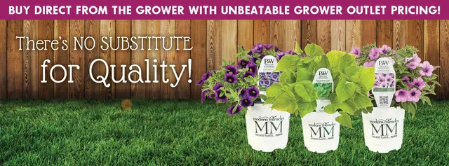 Blooms Greenhouse Growers Outlet