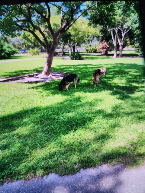 Amelia Earhart Dog Park