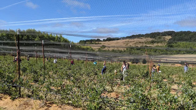 Duckworth Family Farm