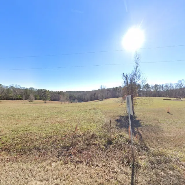 Sowing Acorns Boutique