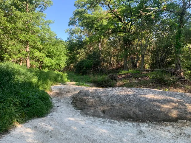 Tom Donovan Nature Trail at Williamson Creek Central Greenbelt