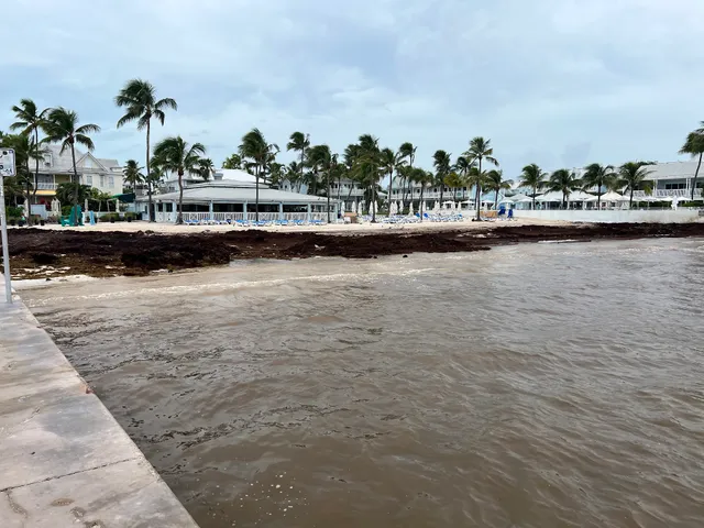 Emma Carrero Cates Pier