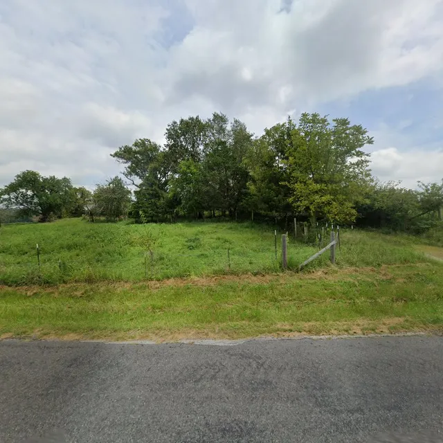 Buffalo Hill Exotics