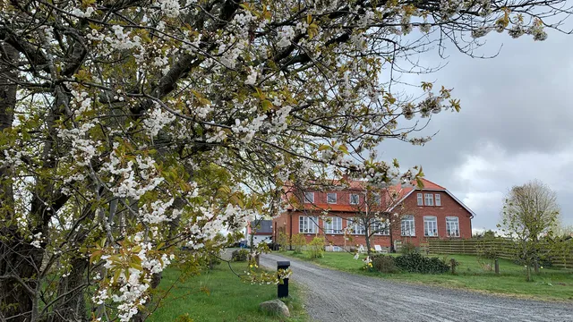 Wramsta Bed & Breakfast