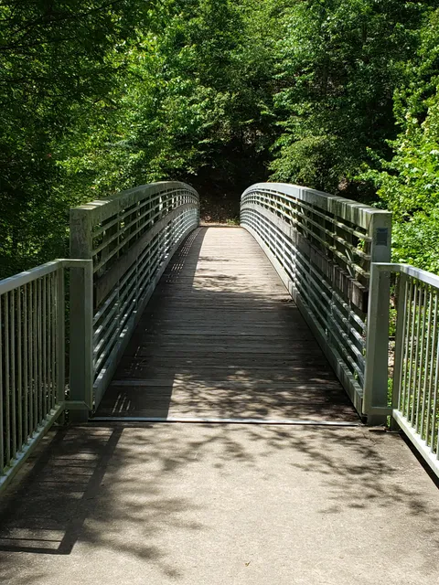 Wolf Pen Gap East Trailhead