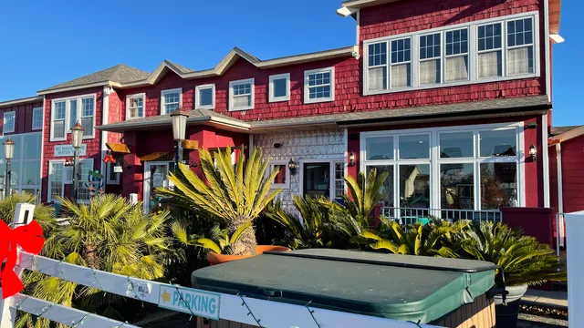 Florida Direct Palm Trees and Key West Swim & Surf