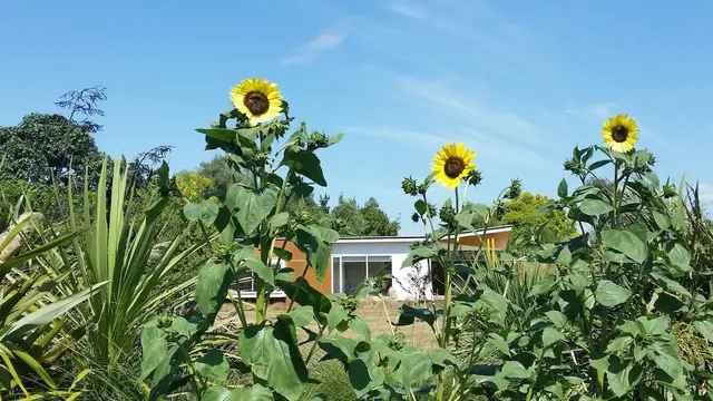 Zelkova -Yoga Studio & Stays