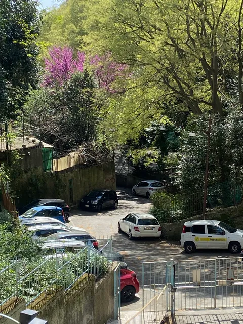 Wake n Bake al Terminal