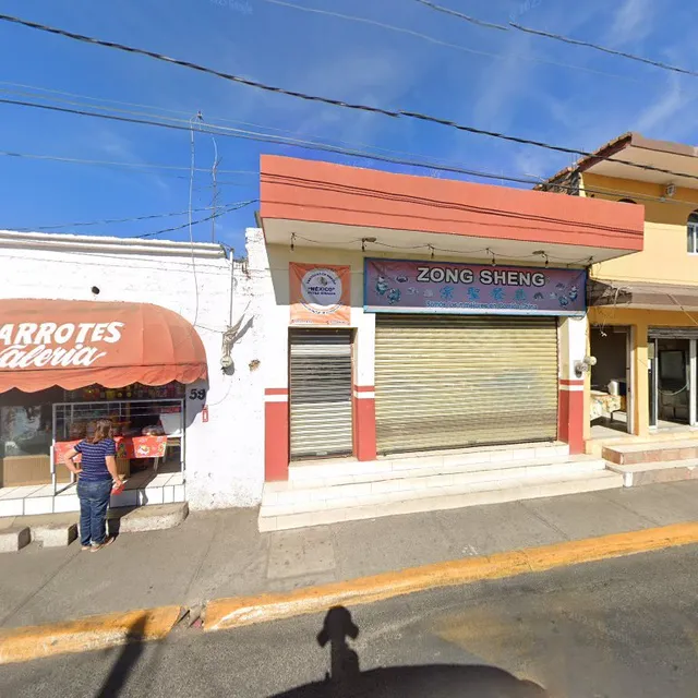 Comida china Zong sheng