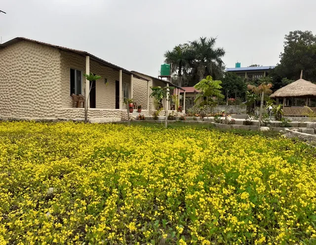 Hotel Tiger Tops, Sauraha