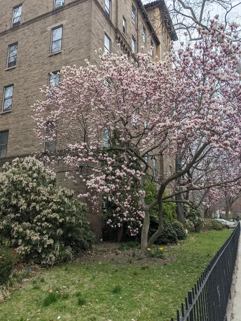 St. Mark's Episcopal Church