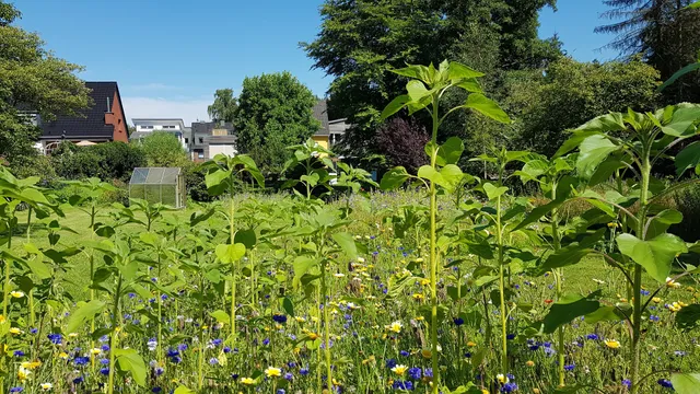 Ferienwohnung Trippe