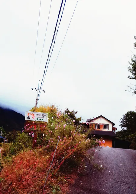 Mungyeong Fox Pension