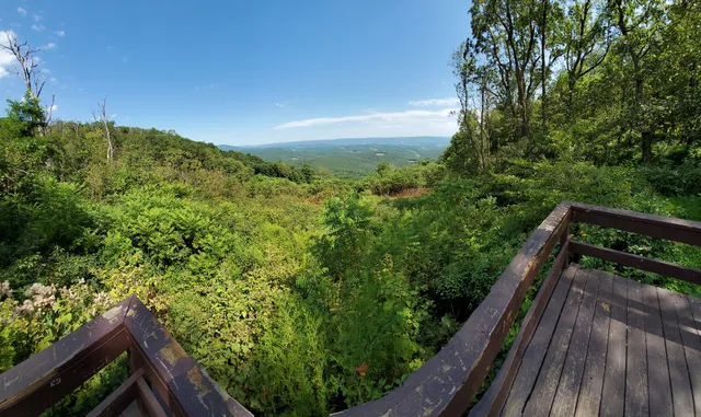Gallitzin State Forest
