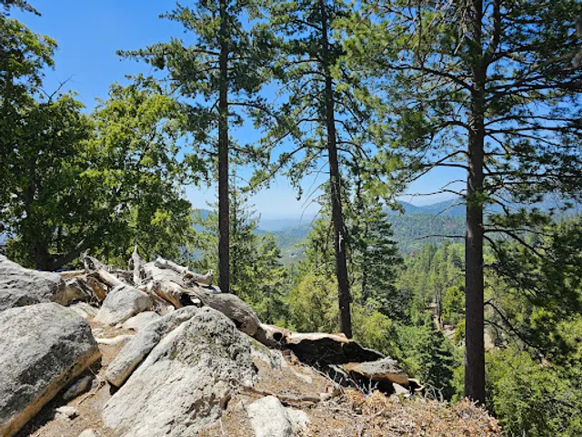 San Jacinto Ridge Truck Trailhead