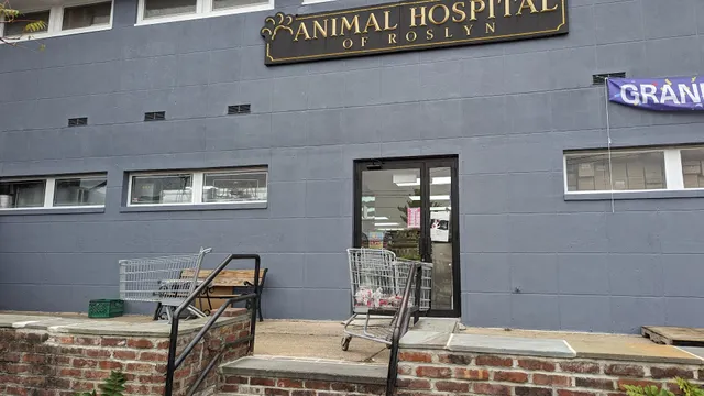 International Food Market