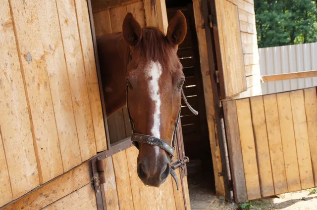 поселение Клёновское