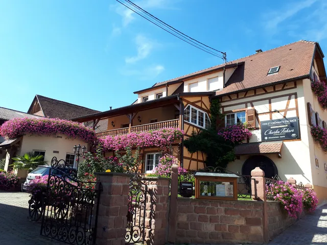 Domaine Charles Fahrer | Vins et Crémant d'Alsace Bios