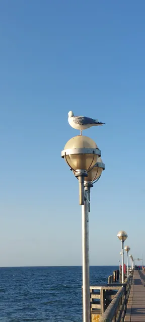 Haus Dwarslöper | 2Raum Fewo D8 mit 2 Terrassen