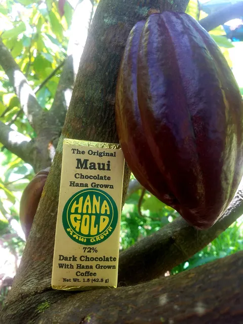 Hana Gold Cacao Plantation