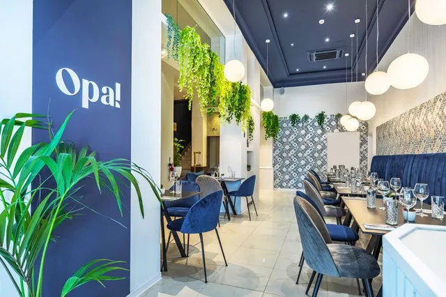 Opa! Mediterranean Fusion