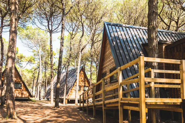 Club del Sole Spina Family Collection