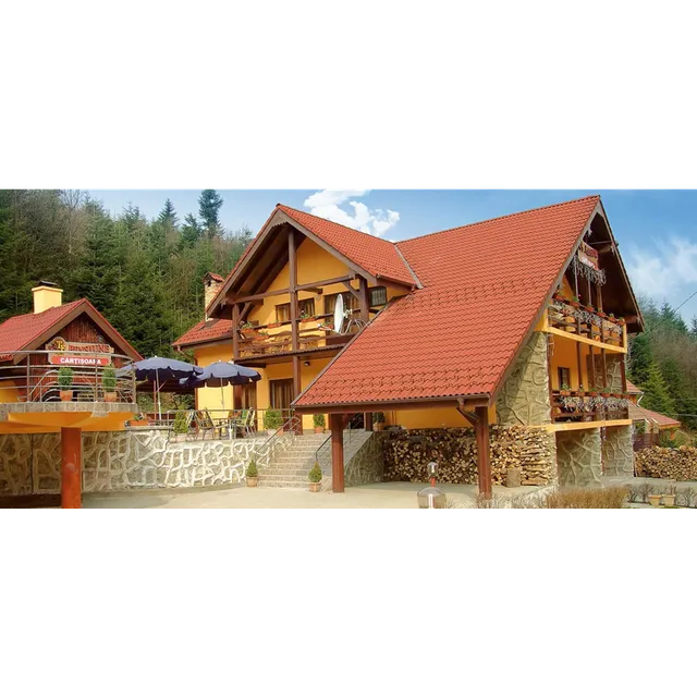 Pensiunea Cârțișoara