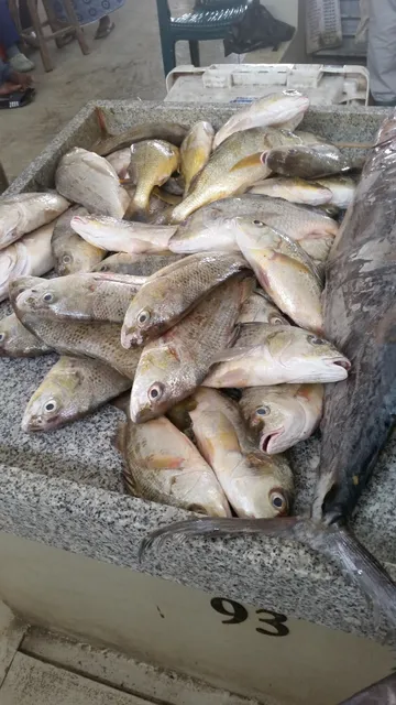Mercado de Peixe