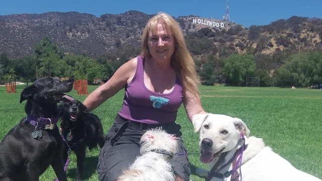 LA’s Dog Trainer
