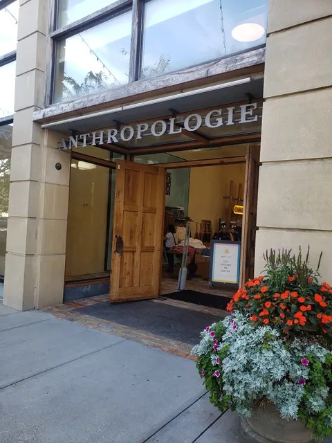 Anthropologie