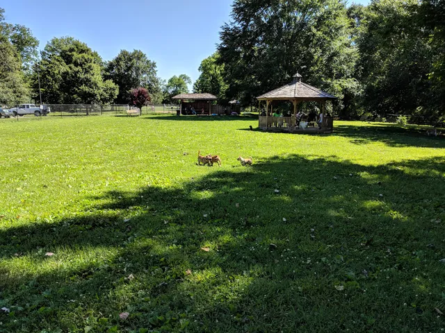 Cochran Hill Dog Run