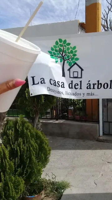 La casa del arbol