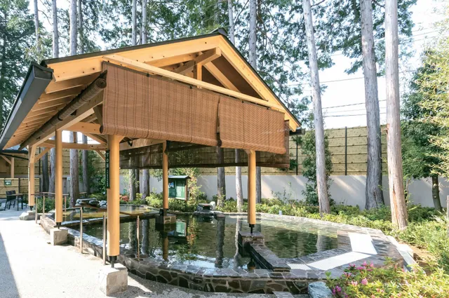 Tsukuba Onsen KIRARI annex