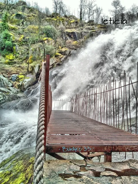 Apartamento El Castaño Centenario