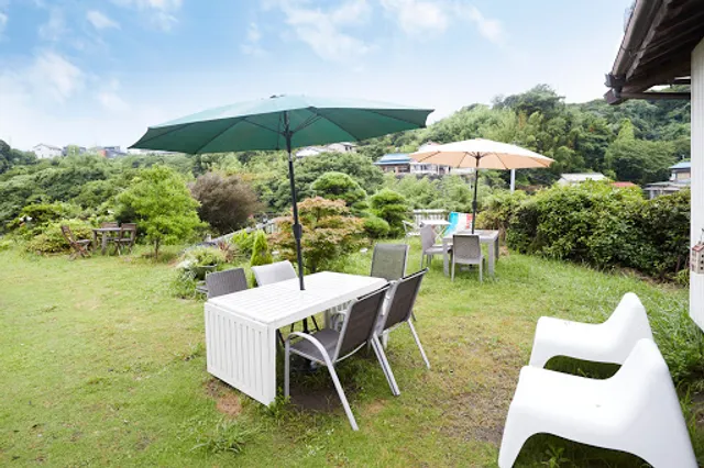 Pizza French bulldog