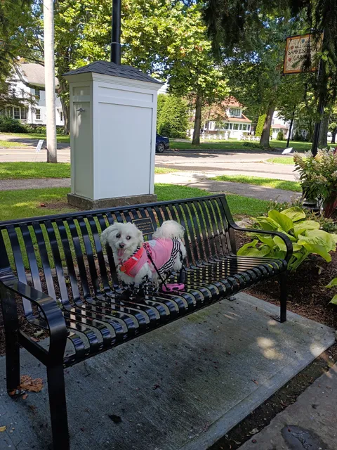 The Shakespeare Market