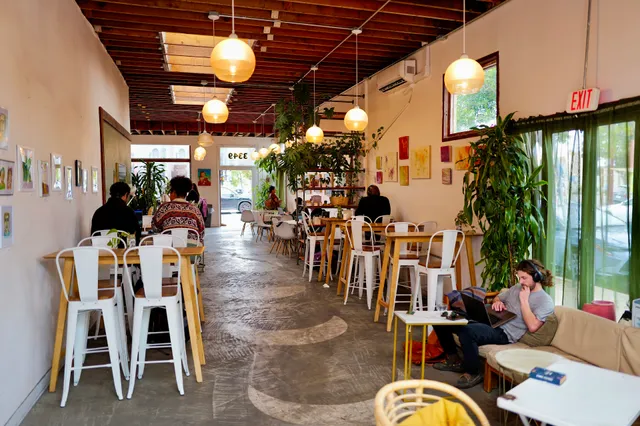 Maya Moon Collective