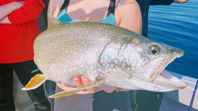 Mile High Fishing Charters