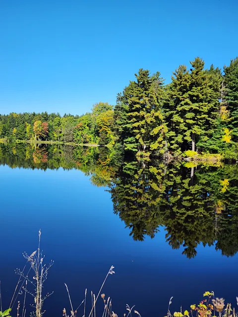 Black River Running Trail Head