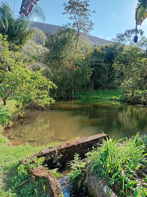 Camp Blessing-Bananal Valley