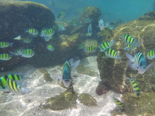Snorkeling Spot Yanui Beach