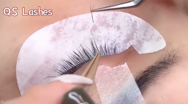 QS Lashes