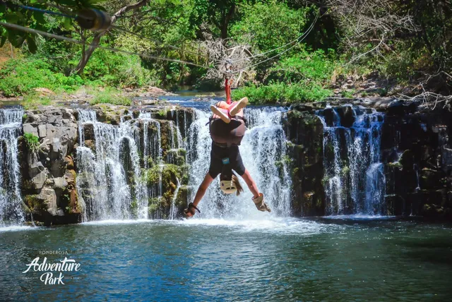 Ponderosa Adventure Park
